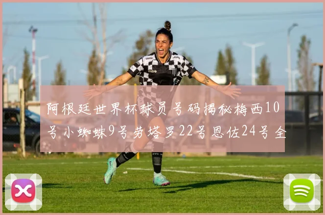 阿根廷世界杯球员号码揭秘梅西10号小蜘蛛9号劳塔罗22号恩佐24号全解析