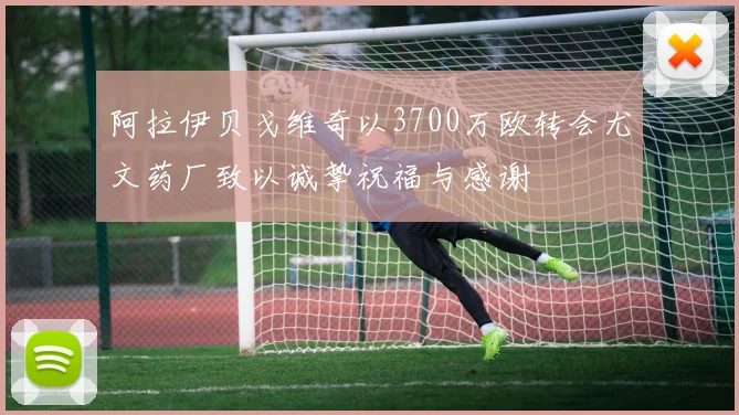 阿拉伊贝戈维奇以3700万欧转会尤文药厂致以诚挚祝福与感谢