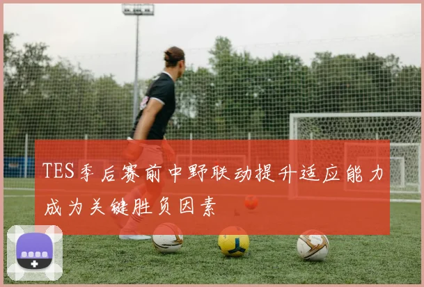 TES季后赛前中野联动提升适应能力成为关键胜负因素